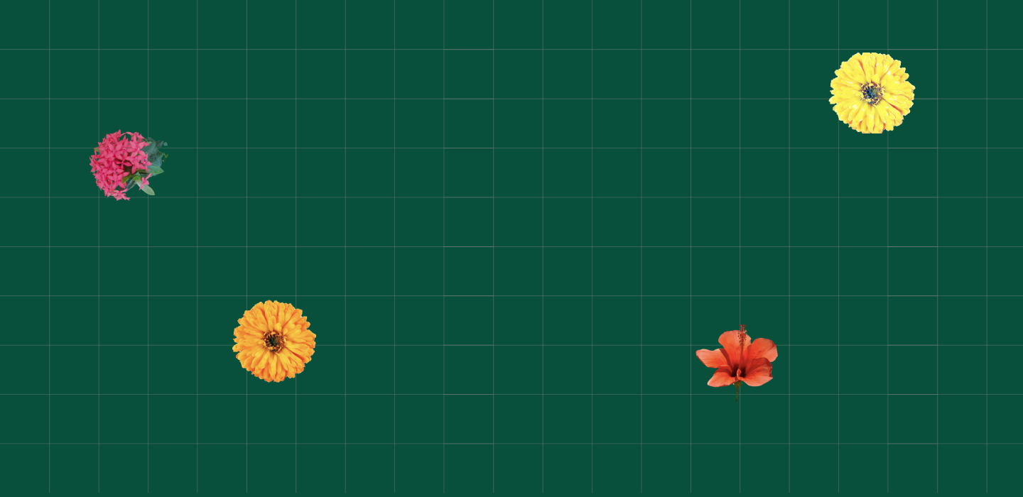 ./images/website_wallpaper.jpg